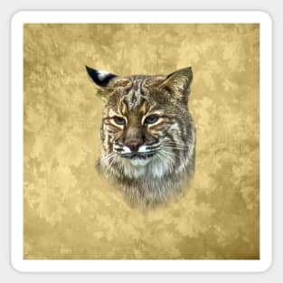 Bobcat Sticker